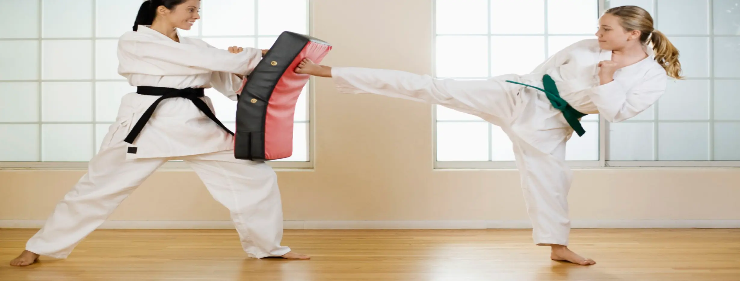 Image for Martial Arts Training